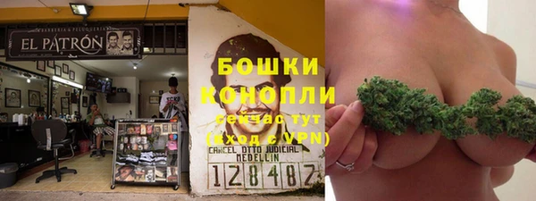 шишки Балахна