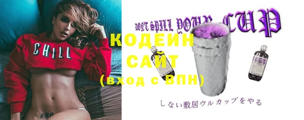 дживик Баксан