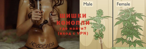 шишки Балахна