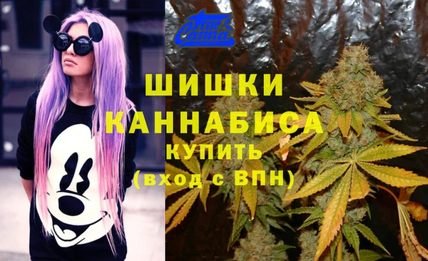 эйфоретик Армянск