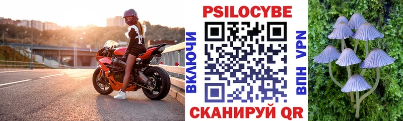 Купить где  Слободской  Псилоцибиновые грибы мицелий 